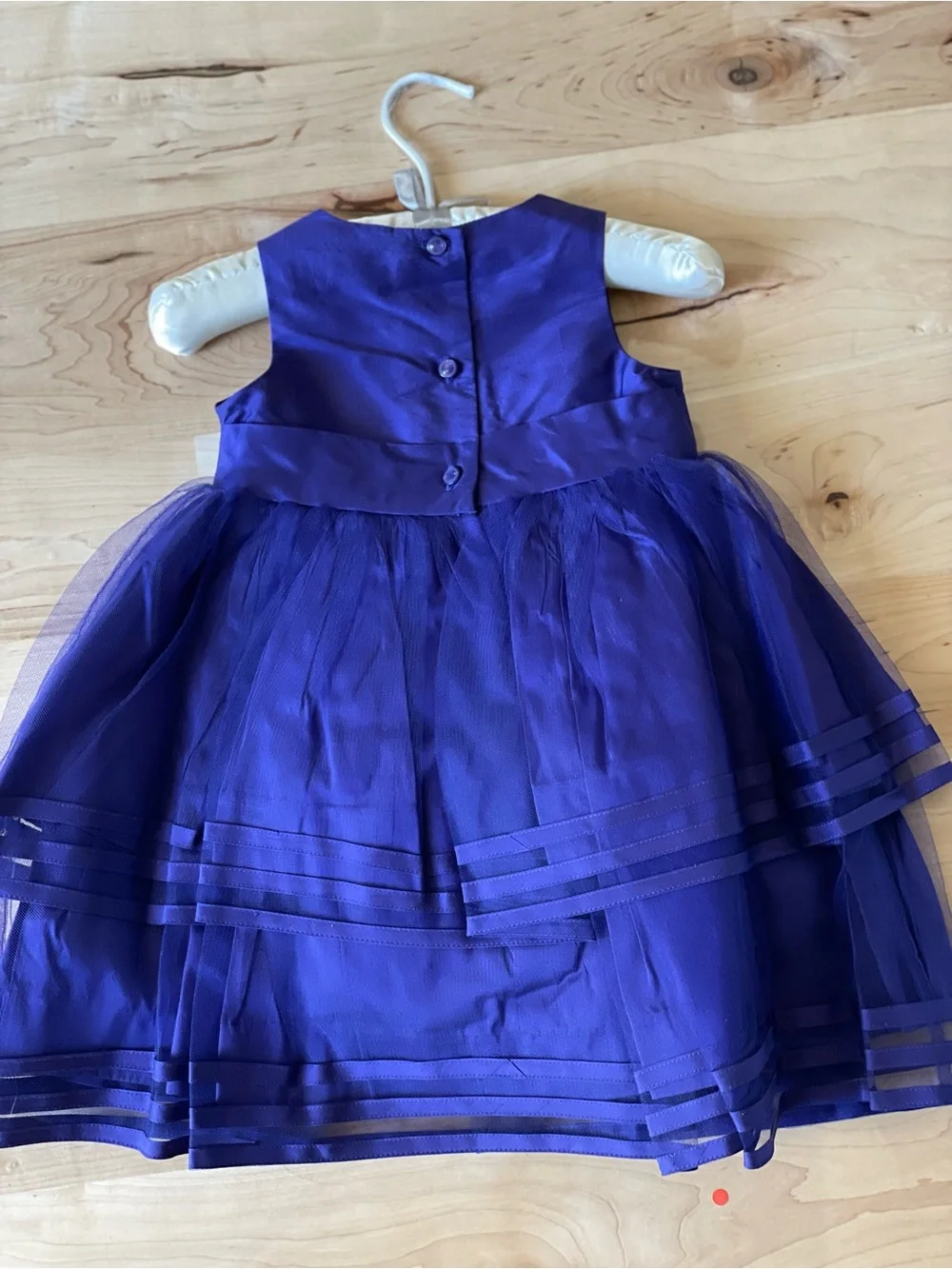Janie and Jack Special Occasion Silk Dress – 12–18 Months – NWT